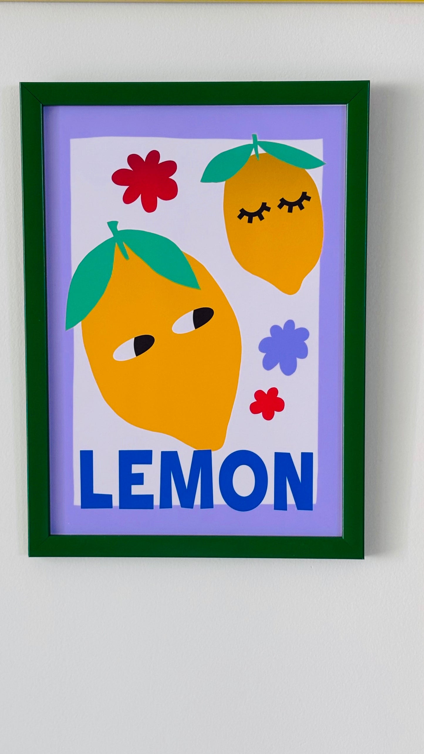 Quirky Collection (Set of 4)