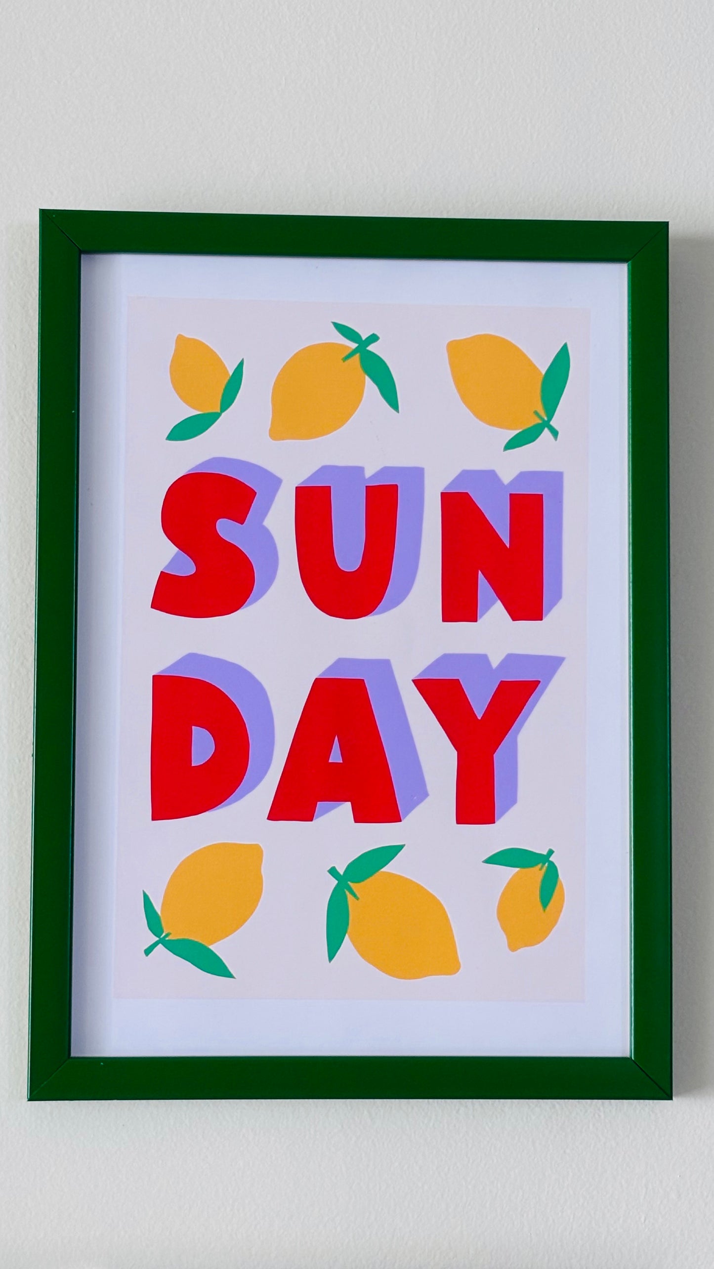 Quirky Collection (Set of 4)
